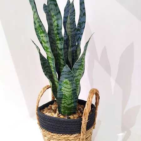 بيت للعطل Charming Fully Restored House Near Beauvais And The Airport